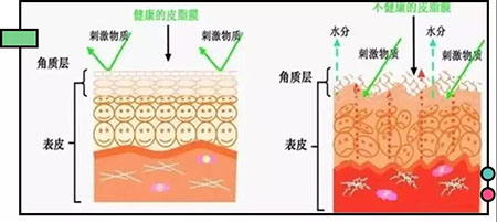 拒絕春季過(guò)敏、紅腫、發(fā)癢！敏感肌的救星來(lái)啦~