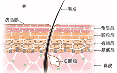 皮膚若缺水，問題千千萬