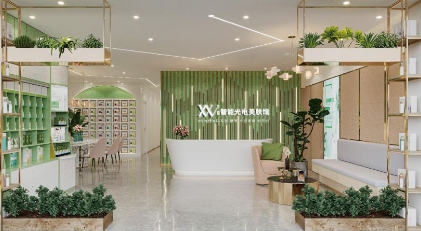 VN智能光電美膚館市場前景和加盟優勢