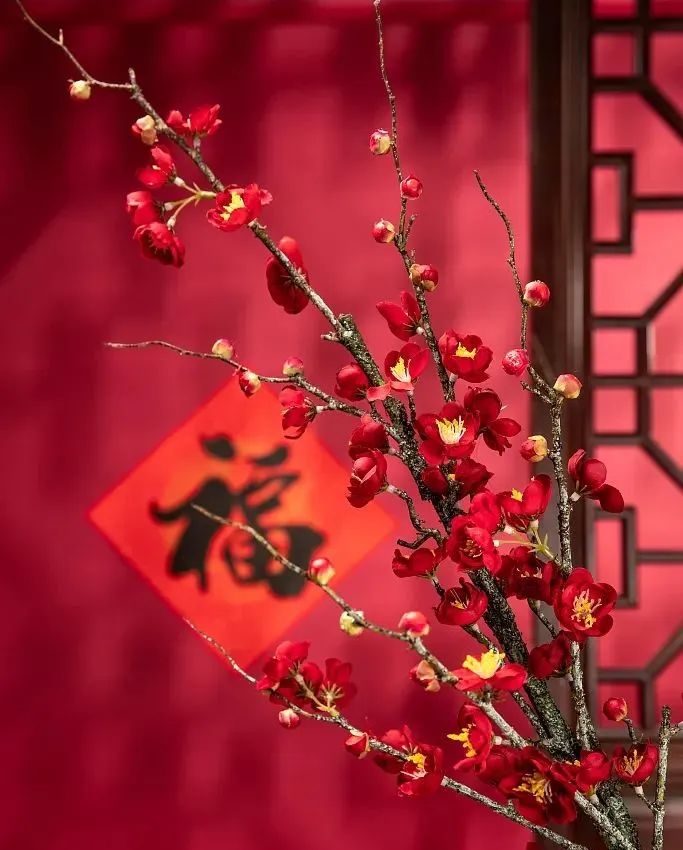 辭舊迎新，兔年納福，心懷熱愛，共赴山海！